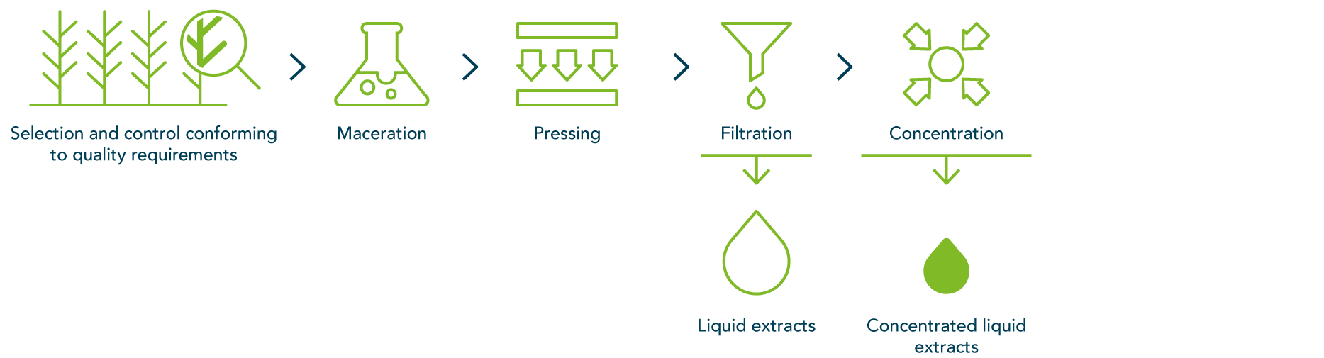 Our extraction processes