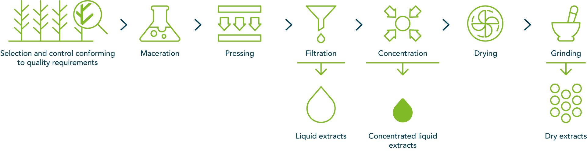 Dry and liquid extracts