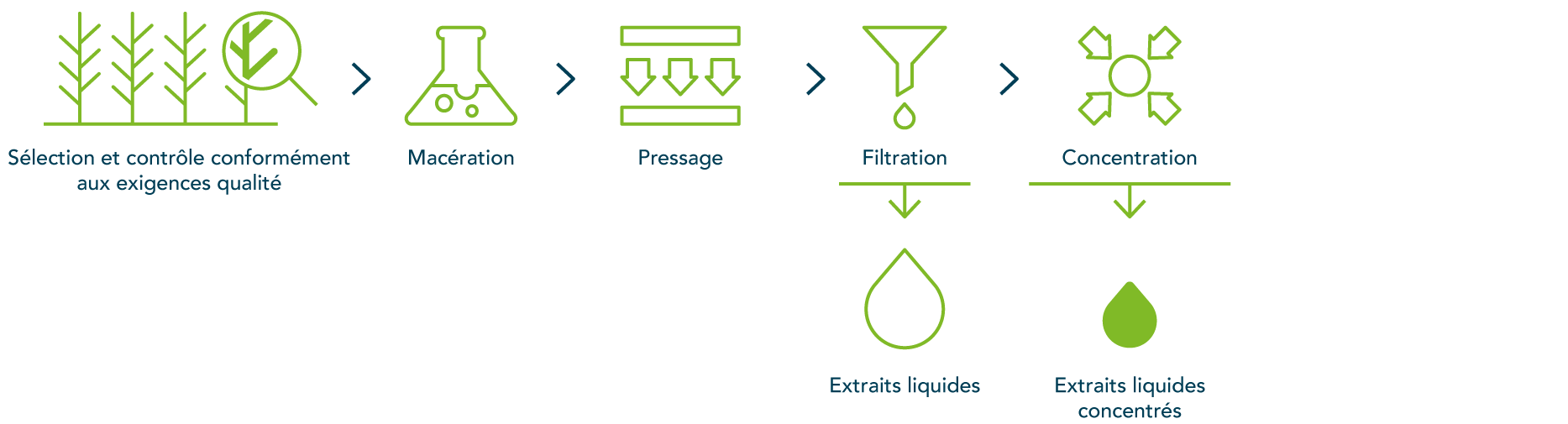 Nos procédés d’extraction